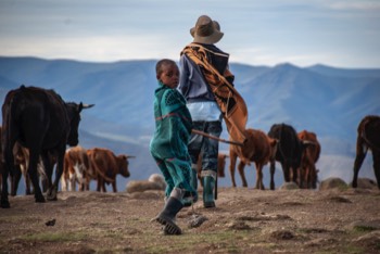 Young Basotho sheppherd 